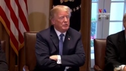 Խուզարկվել է նախագահ Թրամփի փաստաբանի գրասենյակը