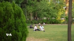 باخی گشتی سلێمانی، ناوەندی کۆکردنەوەی ڕەنگە جیاوازەکان