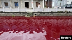 浙江温州苍南县被污染而变红的河流