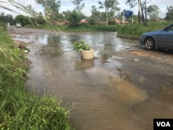 A flower pot sits in the middle of a road in Harare, probably to alert motorists of a deep pothole or to protest against dilapidated roads in Zimbabwe. (S. Mhofu/VOA)