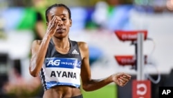 L’Ethiopienne Almaz Ayana remporte le 5000 m dames de la Diamond League Memorial Van Damme au stade roi Baudouin à Bruxelles, Belgique, 9 septembre 2016.