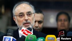 Iranian Foreign Minister Ali Akbar Salehi speaks during a news conference following his meeting with Sheikh Ahmed Mohamed el-Tayeb, Egyptian Imam of al-Azhar Mosque, in Cairo, January 10, 2013.