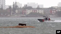 Una vista general de la Bahía de Biscayne en Miami, Florida, patrullada por la Guardia Costera de Estado Unidos.