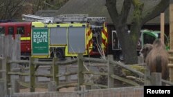 伦敦动物园内一个商店起火，引发火灾。（2017年12月23日）