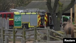 A fire engine is parked near an animal enclosure at London Zoo following a fire that broke out at a shop and cafe at the attraction, in central London, Dec. 23, 2017.