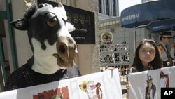 South Korean animal rights activists stage a campaign against import of U.S. beef in front of the government complex in Seoul, South Korea, May 2, 2012.