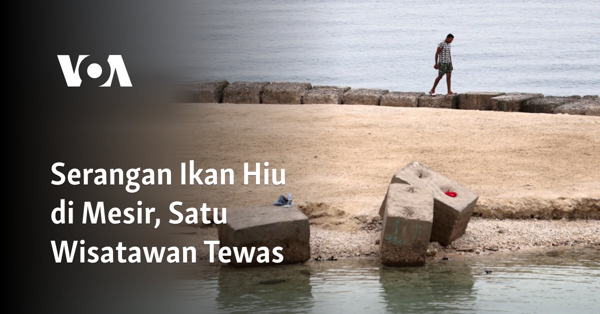 Serangan Ikan Hiu di Mesir, Satu Wisatawan Tewas