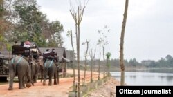 ການທ່ອງທ່ຽວທາງທຳມະຊາດ ແລະ ການເດີນປ່າ ເປັນທີ່ນິຍົມຊົມຊອບສູງ ສຳຫລັບບັນດານັກທ່ອງທ່ຽວ ທີ່ເດີນທາງເຂົ້າມາໃນລາວ.