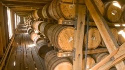 Proceso de maduración de barriles de whisky en una casa de barriles en los terrenos de la destilería Jack Daniel en Lynchburg, Tennessee. (Foto cortesía de Jack Daniel's).