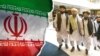 حکومت طالبان از آغاز کار شارژدافیر خود در تهران خبر داد 