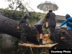 태풍 링링 피해을 입은 북한 황해남도 벽성군 주민들이 강풍에 쓰러진 나무를 제거하고 있다. 국제적십자 현장 조사단이 제공한 사진이다.