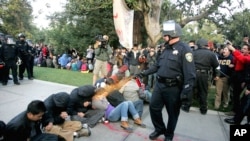 A University of California Davis police officer pepper sprays students during "Occupy UCD" demonstration in Davis, California, November 18, 2011. (Reuters)