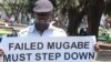 EU, Zimbabwe Relations Sour Over Dzamara Abduction, Poll Violence