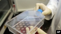 Отсуство на протеин - можна причина за неплодноста кај мажите