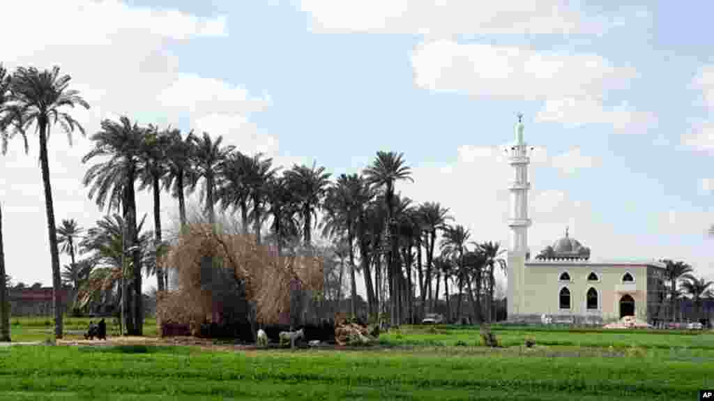 Religion also plays a key role in the mainly Muslim country. Near Kafr Torky, February 13, 2011 (VOA photo - E. Arrott)