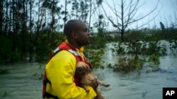 Seorang relawan mencari pemilik seekor anjing yang diselamatkannya dari banjir akibat hantaman badai Dorian di Freeport, Grand Bahama, 3 September 2019.