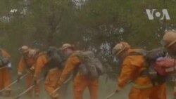 ԱՌԱՆՑ ՄԵԿՆԱԲԱՆՈՒԹՅԱՆ. Դատապարտյալները օգնում են պայքարել կրակի դեմ Կալիֆոռնիայում