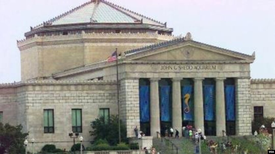 Field Museum di Chicago, Illinois memenangkan penghargaan dalam kontes fasilitas kamar kecil terbaik (21/10).