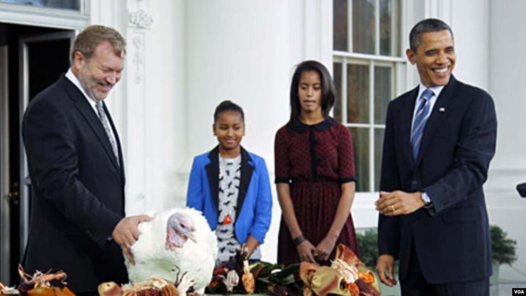 Presiden Barack Obama (kanan) mengampuni Kalkun Thanksgiving 'Liberty', disebelah Sasha, putrinya (kedua dari kiri) dan Malia di Gedung Putih (23/11)
