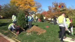 Ծառատունկ դիվանագետների մասնակցությամբ