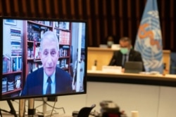 Dr. Anthony Fauci, director of the National Institute of Allergy and Infectious Diseases speaks via video link during the 148th session of the Executive Board on the coronavirus disease (COVID-19) outbreak in Geneva, Switzerland, Jan. 21, 2021.