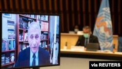 Dr. Anthony Fauci, director of the National Institute of Allergy and Infectious Diseases speaks via video link during the 148th session of the Executive Board on the coronavirus disease (COVID-19) outbreak in Geneva, Switzerland, Jan. 21, 2021. 