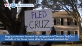 VOA60 America - Angry protesters demand the resignation of Senator Ted Cruz