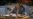 16x9 Image