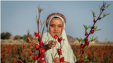 <div>مزرعه چای ترش - گناباد<br />
عکس: محسن رحیمی</div>
