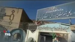 اخبار شامگاهی