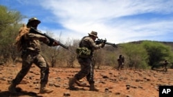 Des membres de la protection des rhinocéros s'entraînent à capturer les braconniers en Afrique du sud, le 8 novembre 2013.