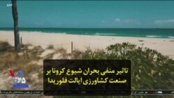 تاثیر منفی بحران شیوع کرونا بر صنعت کشاورزی ایالت فلوریدا
