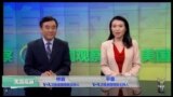 VOA卫视(2016年11月16日 美国观察)