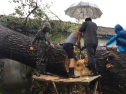 지난해 태풍 링링 피해을 입은 북한 황해남도 벽성군 주민들이 강풍에 쓰러진 나무를 제거하고 있다. 국제적십자 현장 조사단이 제공한 사진이다.