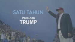 Satu Tahun Trump