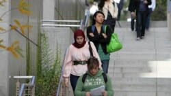 گالوپ: آمريکاييان مسلمان ۱٩ درصد بيش از سال ۲۰۰۸ احساس خوشبختی می کنند