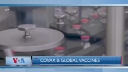 Plugged In-COVID and Global Vaccines Episode 163