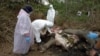 Tim dokter BKSDA Aceh saat melakukan bedah bangkai gajah Sumatra di Aceh Timur, Jumat (17/4). (Foto: Courtesy/BKSDA Aceh)