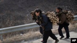 朝鲜黄海北道新坪郡背负木柴的朝鲜妇女