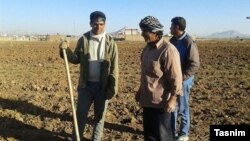 کشاورزی در ایران - آرشیو