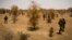 FILE - A photo taken on April 10, 2013 shows French soldiers taking part, 105 kms north of the northeastern Malian city of Gao, in an operation to find Islamist fighters. 