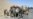 Taliban Atrocities Alleged in Kunduz
