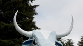 Babe the Blue Ox