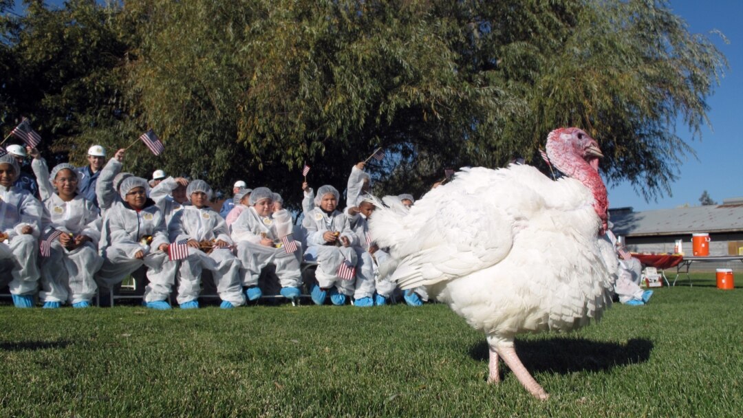 Otam uyda bolmaganda ogay onam bilan jinsiy aloqa qilish Rus tilidagi porno filmlarni onlayn tomosha qiling