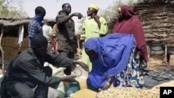 A Nigerien vendor, left, measures out millet, which has doubled in price in the local market, for a client in the village of Tamou, 60 kilometers outside Niamey, Niger, (File)