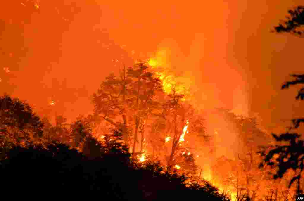 View of the forest fire at the Conguillo National Park, March 24, 2015. Massive wildfires raging in drought-stricken southern Chile have wiped out hundreds of plant species, and are now threatening animal life and the national park as well, officials warned. &nbsp;