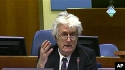 This frame grab from the ICTY courtroom television shows Bosnian Serb wartime leader Radovan Karadzic talking during his trial for genocide, in the Hague, 13 Apr 2010
