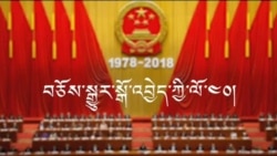 རྒྱ་ནག་གི་བཅོས་སྒྱུར་སྒོ་འབྱེད་ལོ་༤༠ དང་འགྲོ་བ་མིའི་ཐོབ་ཐང་།