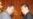 巴基斯坦宣布派特殊部队保护中国工人