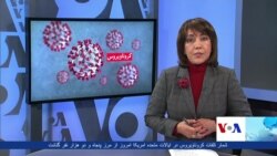 برنامۀ شنبه تلویزیون آشنا